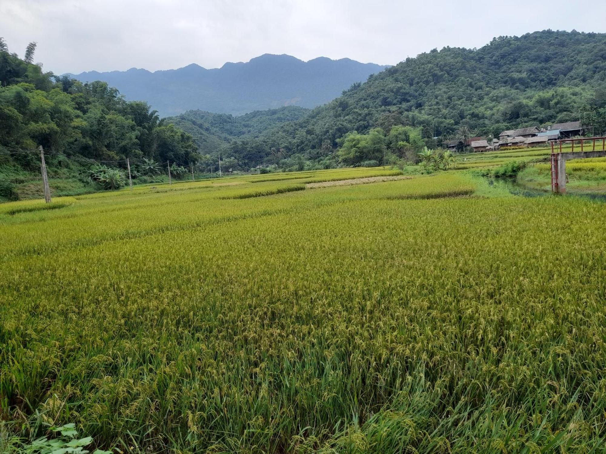 Thao Ly Homestay Mai Chau Hoa Binh Bagian luar foto