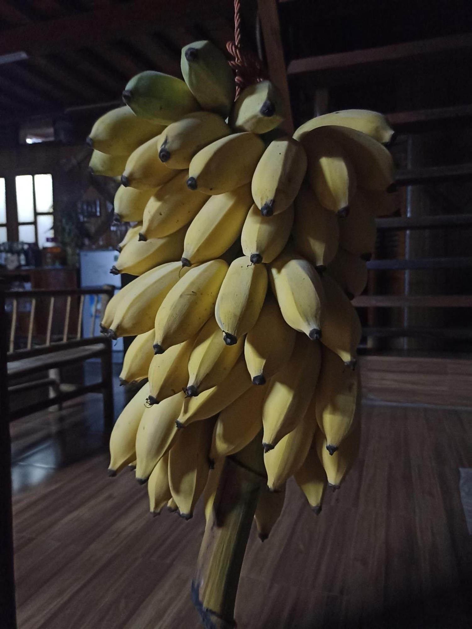 Thao Ly Homestay Mai Chau Hoa Binh Bagian luar foto