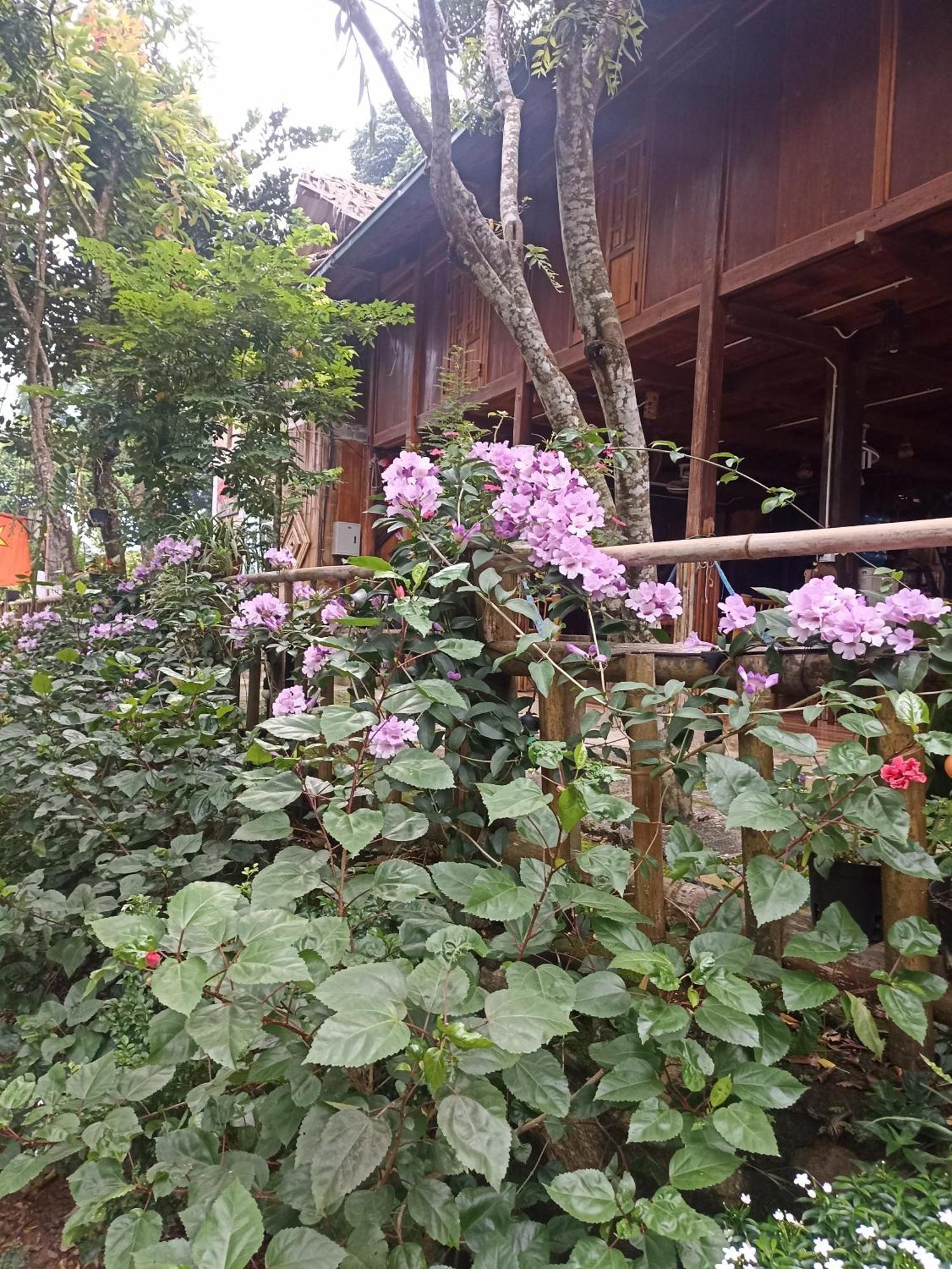 Thao Ly Homestay Mai Chau Hoa Binh Bagian luar foto