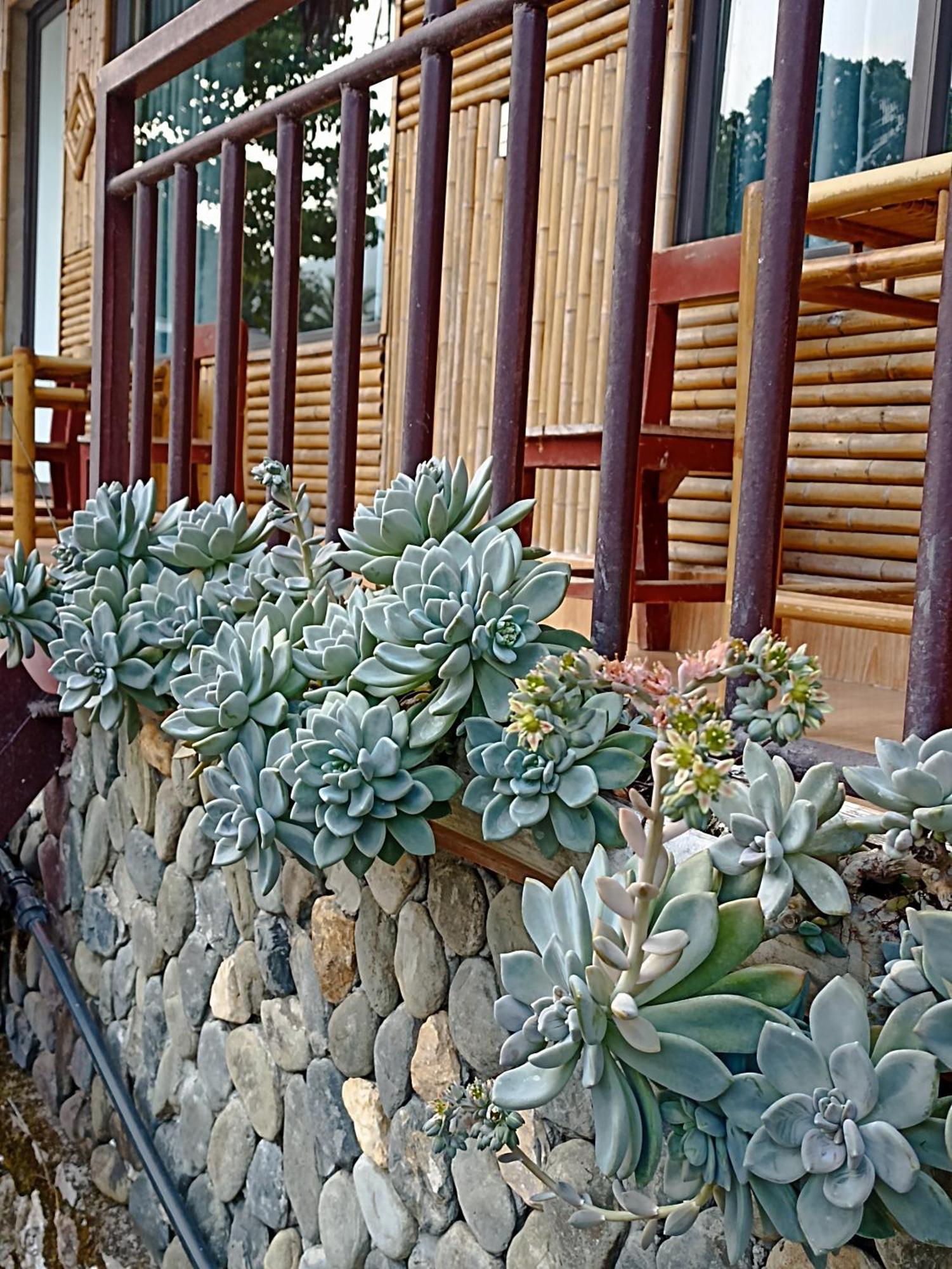 Thao Ly Homestay Mai Chau Hoa Binh Bagian luar foto